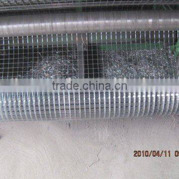 1/4 inch galvanized welded wire mesh