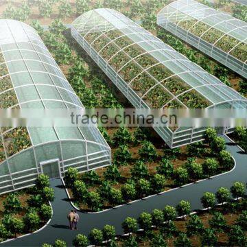 UV resistance flower greenhouses,farm hothouses, glasshouse big shed made in China