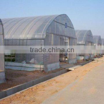 Tunnel Greenhouse photo-6