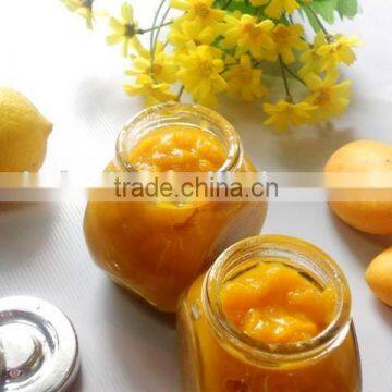 Microwave Vacuum Dryer for Mango Sauce photo-4