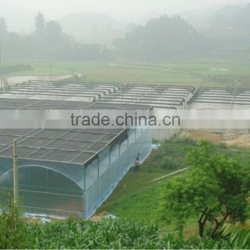 Muilti-span film greenhouse for vegetable