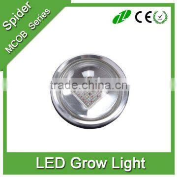 360w Mcob Plant Grow Light Lamp for Greenhouse, Hydroponics, Greenhouse photo-6