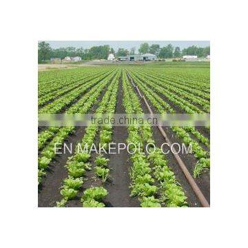 pe Pipe for Irrigation Diameter 16mm-110mm Good Material High Quality Cheap Price Manufacturer of Pipe photo-3