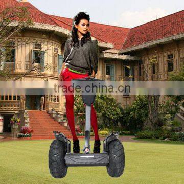 Leadway Leadway 36V Li-lion Battery 2000W off Road Waterproof Electric Motor(W6+33) photo-3