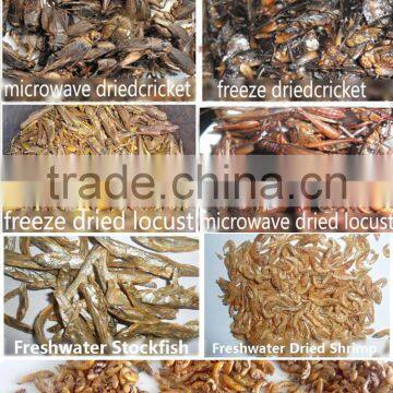 Wild Birds Food Freeze Dried Crickets;Dried Crickets for Wild Birds photo-6
