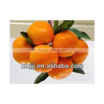 Date Price Mandarin Oranges photo-2