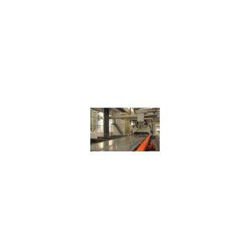Steel plate shot blasting machine