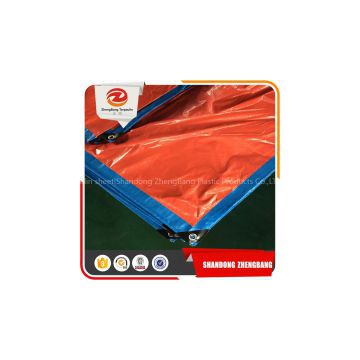 55-250gsm Plastic Sheet PE tarpaulin China supplier