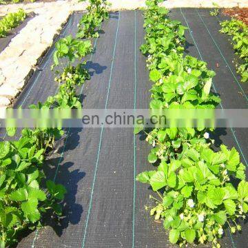 Anti uv Plastic Agricultural Woven pp Weed Control Mat photo-4