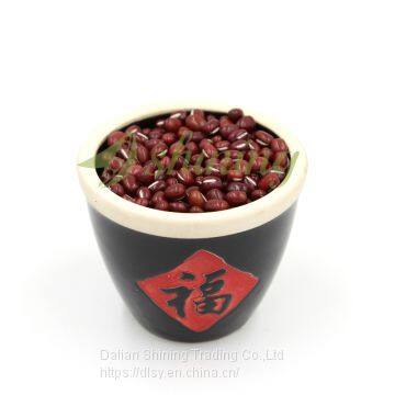 China Market price red adzuki bean seeds