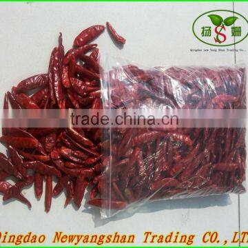 Dry red chilli/CHILLI/Exports Europe and South Korea