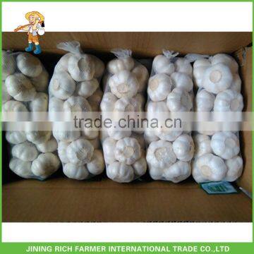 Top quality 5.0cm 450g bag snow white Chinese garlic
