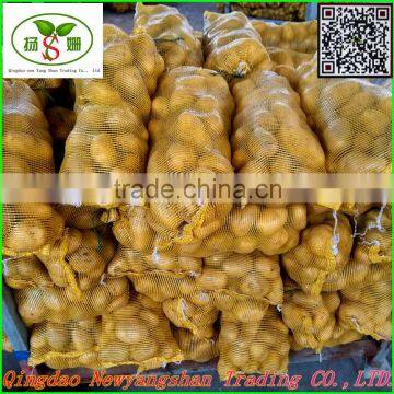 Factory direct export processing: holland potato /fresh potato