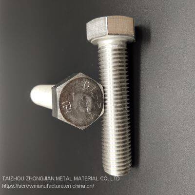 Stainless Steel Hex Bolt M10*35