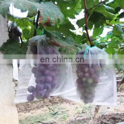Low Cost Agricultural Greenhouse Anti Insect Proof Plastic Net Low Price photo-5