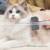 Portable New Design Grooming Tools Massage Hair Removal Dog Deshedding Pet Brush Comb photo-2