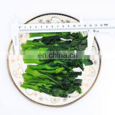 China Factory of IQF Vegetable Cultivated Frozen Rape Flower