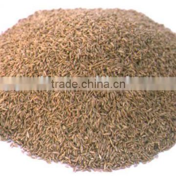 Cumin Seeds/Cummin Spice