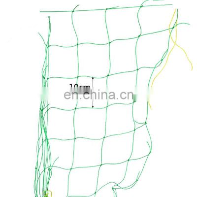 Garden Nylon PE  Plant Tomato Trellis Netting for Climbing plants