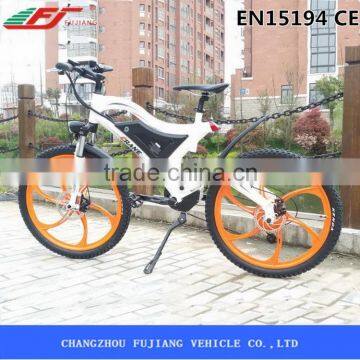 Hot Sale Cheap 250w Italian Electric Bike photo-4