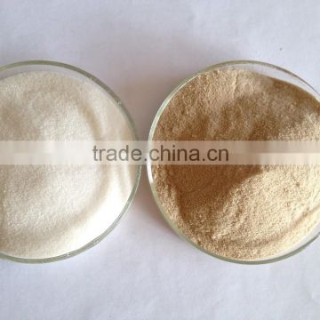 Food grade arabic gum spray dried powder for coating