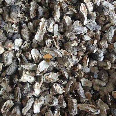 Dehydrated Dried Straw Mushroom Voluariella Volvacea