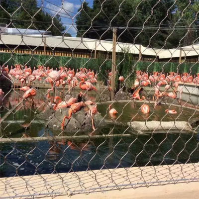 Hot Sale Zoo Wire Rope Mesh 316 316L Stainless Steel Flexible Wire Mesh Netting for Bird Aviary photo-4