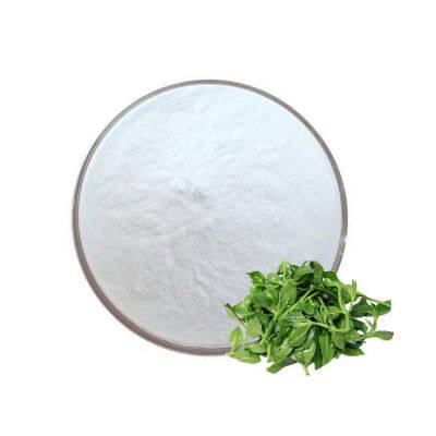 High Quality Andrographis Paniculata Extract Powder Andrographis Extract Andrographolide Powder