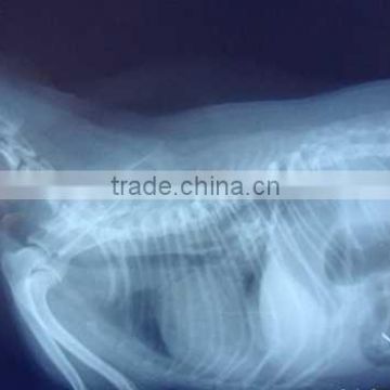 made in china ct film,medical image film, high sensivity 10cm by 10cm xray films