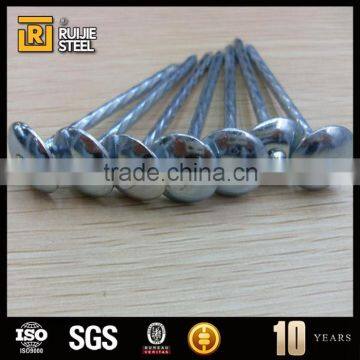 Umbrella Head Nail/large Head Nail With Washer/Galvanized Roofing Nails photo-5