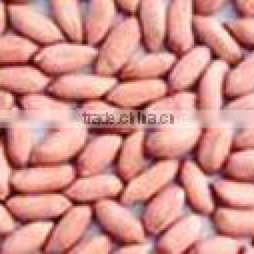 new crop chinese Peanut kernels