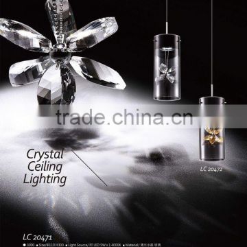 Simple LED Pendant Lamp with Clear Glass Lampshade