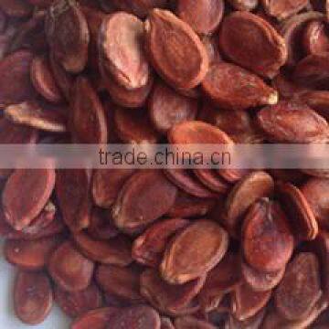 Red Watermelon Seed Wholesalers China photo-2