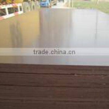 Film Faced Plywood, Black Film Faced Plywood photo-2