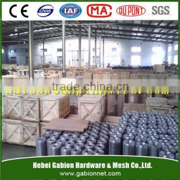 Welded Wire Mesh Panel for concrete building and reinforcing mesh
