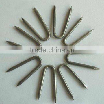 professional manufacturer of u type nails