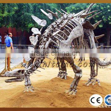 HLT Dino-Hot sale life size resin zigong dinosaur skeleton