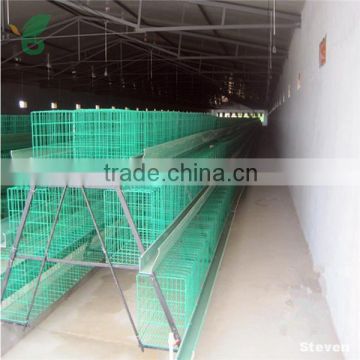 Layer Cheap Automatic Chicken Coops Used in Poultry Farm For Sale