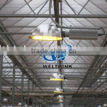 Indoor lighting ballast in greenhouse, CE,GS,UL,CUL approved.100V~277V,347V,400V.(250W,400W,600W,1000W)