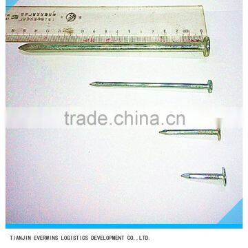 Galvanized Concrete common Nails