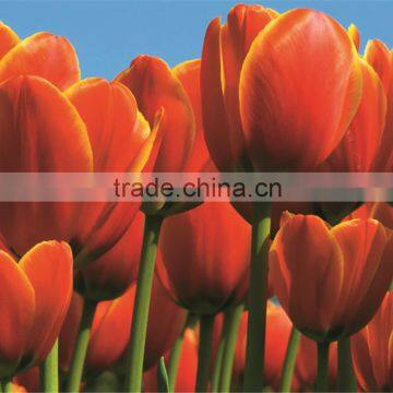 Beautiful Flower Design Colorful UV-print Clear Table Mat