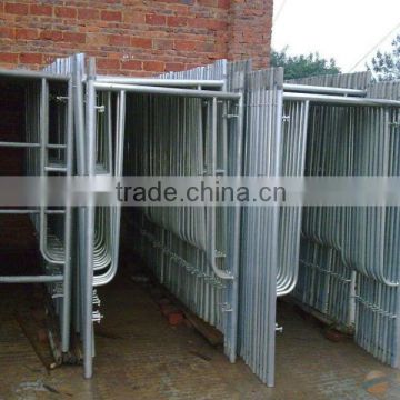 Hot sale Steel Galvanised 48.3mm scaffold tube for construction