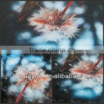 With texture photo 3d laminating film