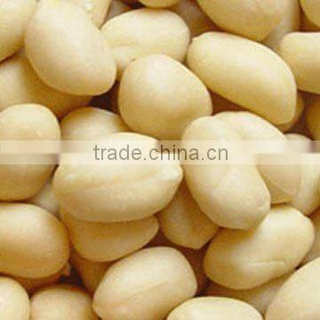 Chinese jumbo blanched peanuts kernels groundnut