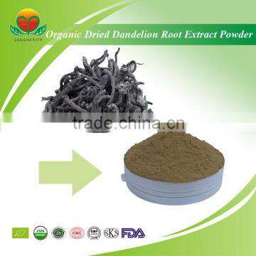 Manufacture Supply Organic Dried Dandelion Root Extract powder