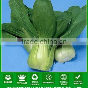 NPK04 Haia F1 best pak choi seeds factory chinese vegetable seeds shanghaiqing