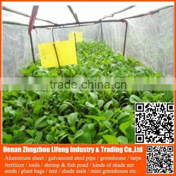 Top Selling 20/30/40/50 Mesh Hdpe Plastic Agriculture Greenhouse Vegetable and Fruit Anti-insect Net , Nylon Insect Net photo-4