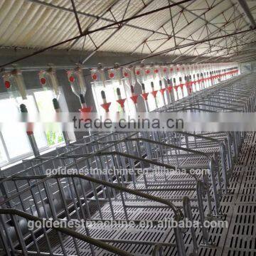 Pig Breeding Equipment/pig farming equipment/equipment for pig/piglet equipment