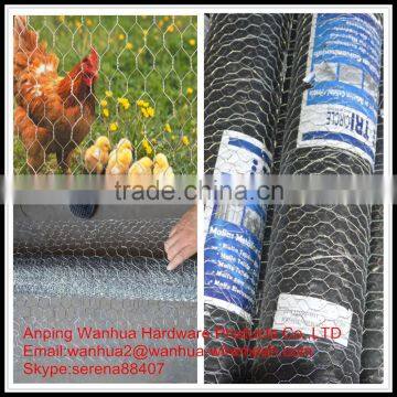 hot galvanized agriculture chicken hexagonal wire netting