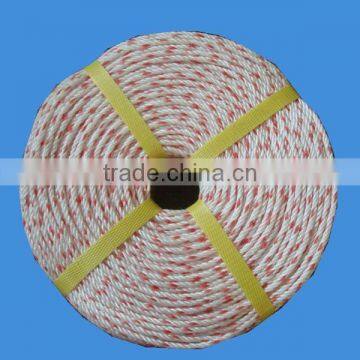 BaiYuan PP Plastic Rope